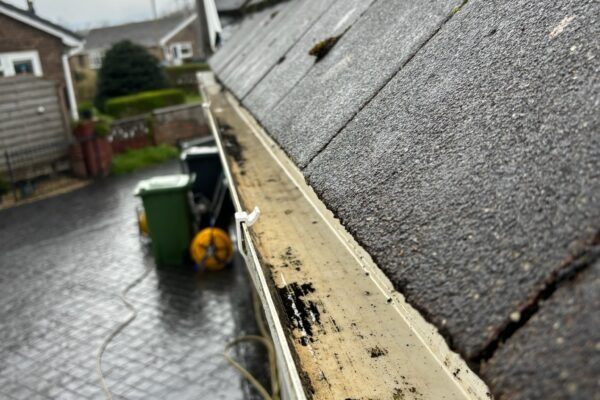 Gutter Cleaning Service